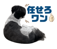 852471431