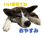 852474697