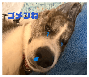852474710