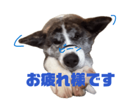 852474711