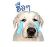 852475687