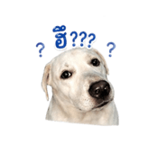 852475690