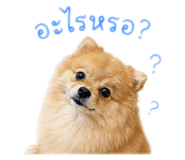 852479828