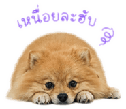 852479834