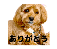 852484321
