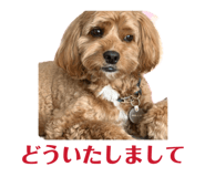 852484323