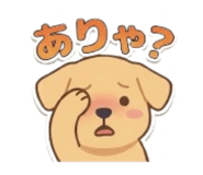 852484555