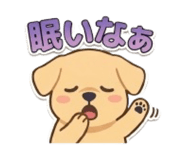 852484556