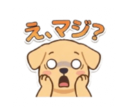 852484561