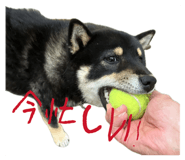 852484767