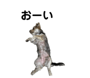 852484993