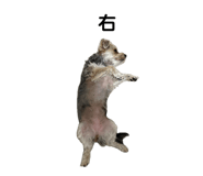 852485004
