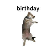 852485016