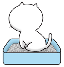 8525127