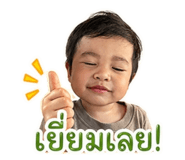 852520374