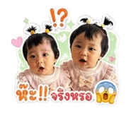 852525617