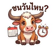 852525641