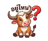 852525647