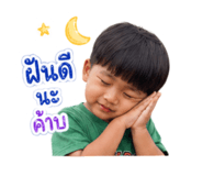 852526612
