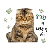 852526787