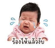 852530164