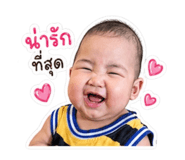 852530660