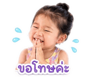 852531626