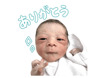 852535185