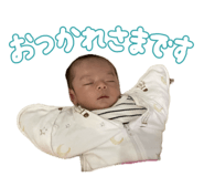 852535186