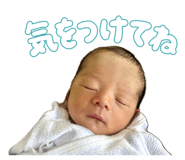 852535212