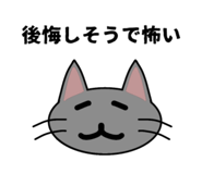 852536505