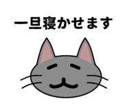 852536506