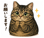 852536614