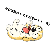 852538288