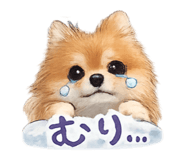 852541723