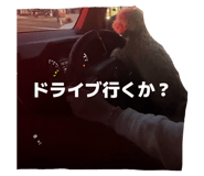 852541908