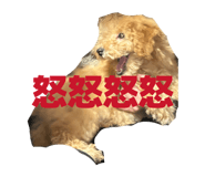 852541910