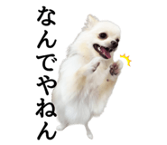 852542550