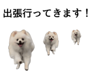 852542563