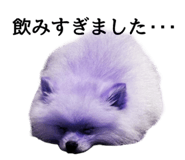 852542576