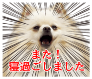852542579