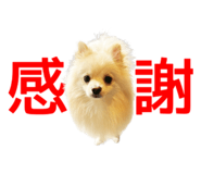 852542580