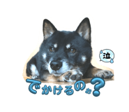 852542777