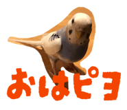852542784