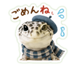 852542962