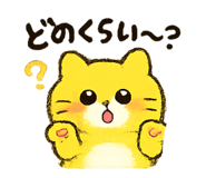 852543036
