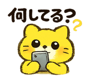 852543050
