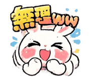 852543081