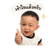 852557223