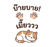 852561292